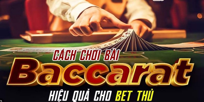 Áp dụng cách đặt cược cấp tiến để đầu tư Baccarat thắng lớn
